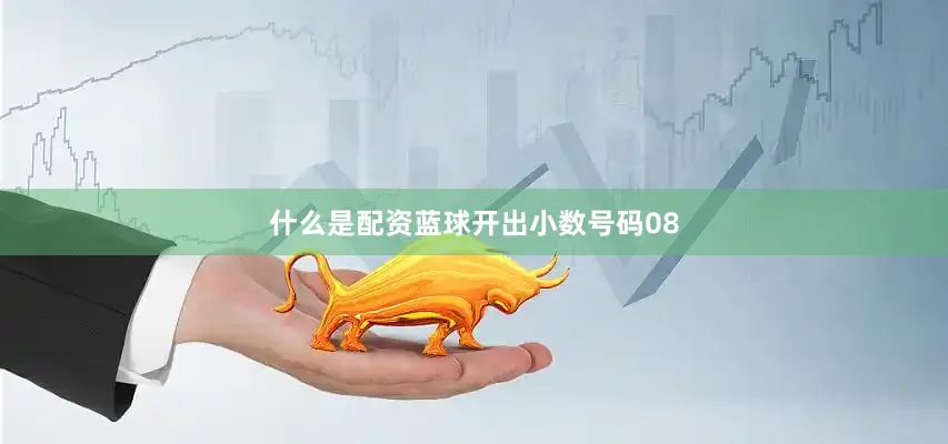 什么是配资蓝球开出小数号码08